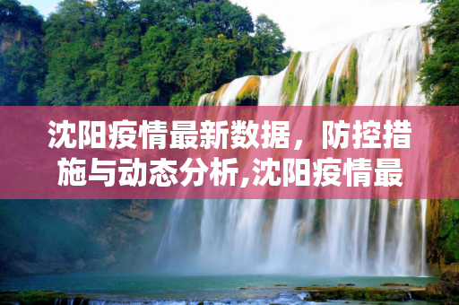沈阳疫情最新数据，防控措施与动态分析,沈阳疫情最新数据