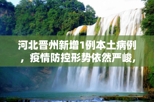 河北晋州新增1例本土病例，疫情防控形势依然严峻,河北晋州增1例本土