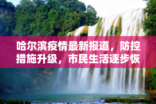 哈尔滨疫情最新报道，防控措施升级，市民生活逐步恢复,哈尔滨疫情最新报道