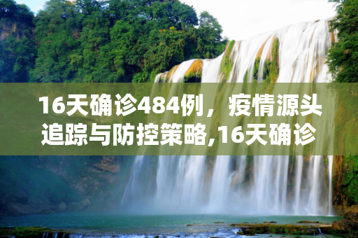 16天确诊484例，疫情源头追踪与防控策略,16天确诊484例疫情源头在哪