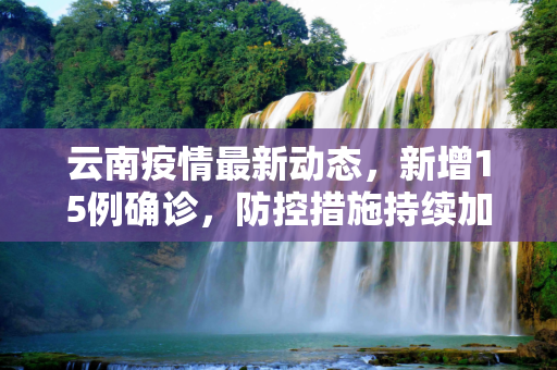 云南疫情最新动态，新增15例确诊，防控措施持续加强,云南新增15例确诊