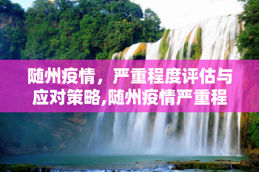 随州疫情，严重程度评估与应对策略,随州疫情严重程度