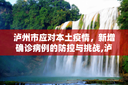 泸州市应对本土疫情，新增确诊病例的防控与挑战,泸州新增本土确诊