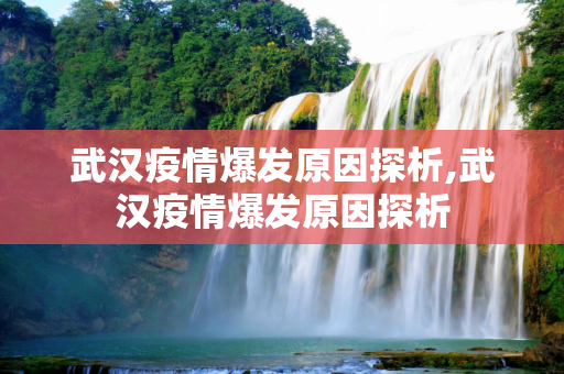 武汉疫情爆发原因探析,武汉疫情爆发原因探析