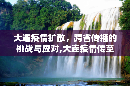 大连疫情扩散，跨省传播的挑战与应对,大连疫情传至4省7城