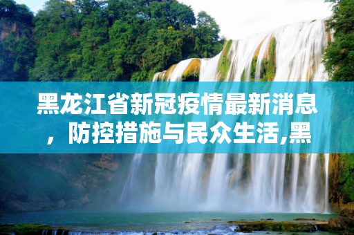 黑龙江省新冠疫情最新消息，防控措施与民众生活,黑龙江省新冠疫情最新消息