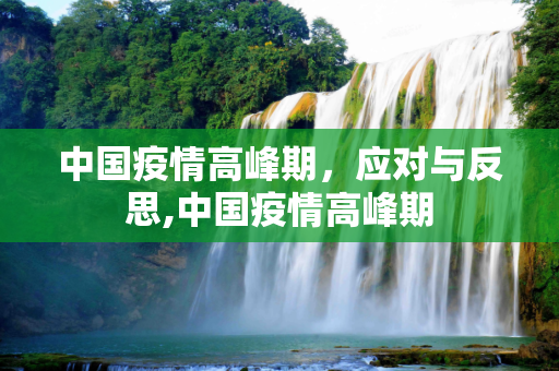 中国疫情高峰期，应对与反思,中国疫情高峰期