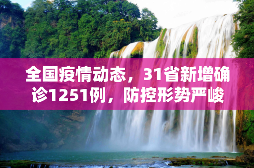 全国疫情动态，31省新增确诊1251例，防控形势严峻,31省新增确诊1251例