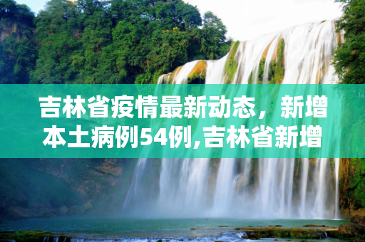 吉林省疫情最新动态，新增本土病例54例,吉林省新增本土54例