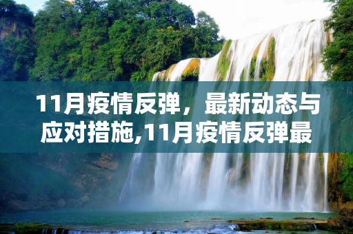 11月疫情反弹，最新动态与应对措施,11月疫情反弹最新消息
