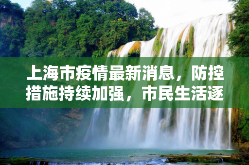上海市疫情最新消息，防控措施持续加强，市民生活逐步恢复,上海市疫情最新消息