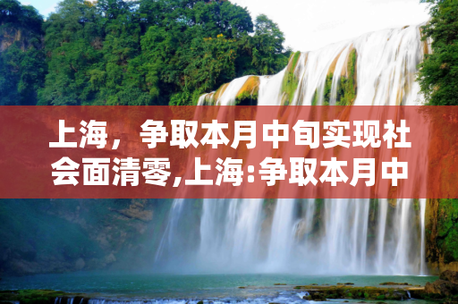 上海，争取本月中旬实现社会面清零,上海:争取本月中旬实现社会面清零的简单介绍