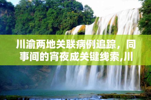 川渝两地关联病例追踪，同事间的宵夜成关键线索,川渝2关联病例是同事:曾同桌宵夜