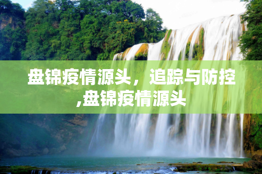 盘锦疫情源头，追踪与防控,盘锦疫情源头