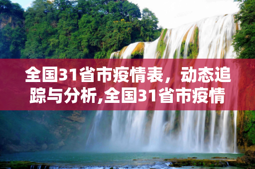 全国31省市疫情表，动态追踪与分析,全国31省市疫情表