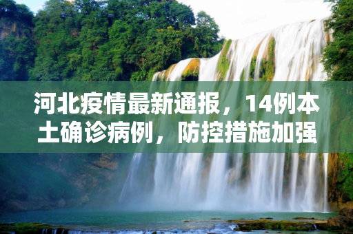 河北疫情最新通报，14例本土确诊病例，防控措施加强,河北通报14例本土确诊