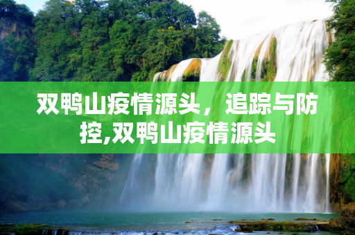 双鸭山疫情源头，追踪与防控,双鸭山疫情源头