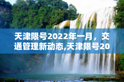 天津限号2022年一月，交通管理新动态,天津限号2022年一月