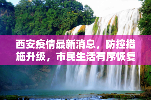西安疫情最新消息，防控措施升级，市民生活有序恢复,西安疫情消息