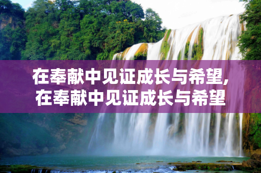 在奉献中见证成长与希望,在奉献中见证成长与希望