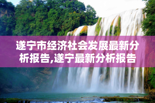 遂宁市经济社会发展最新分析报告,遂宁最新分析报告