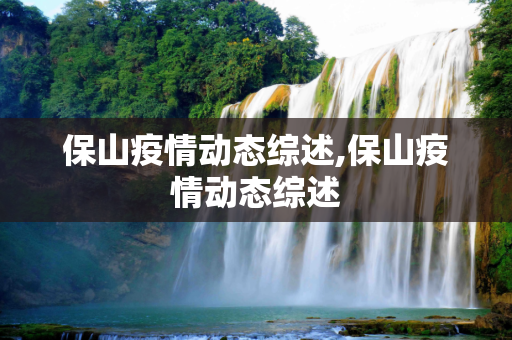 保山疫情动态综述,保山疫情动态综述