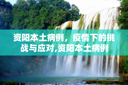 资阳本土病例，疫情下的挑战与应对,资阳本土病例