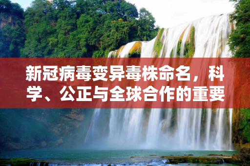 新冠病毒变异毒株命名，科学、公正与全球合作的重要性,新冠病毒变异毒株命名