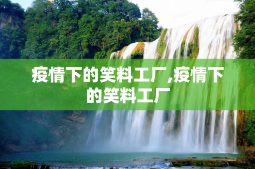 疫情下的笑料工厂,疫情下的笑料工厂