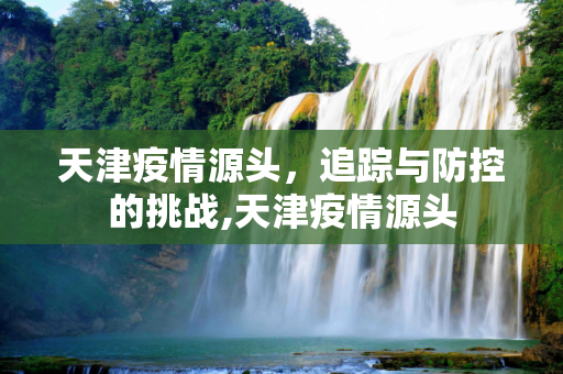 天津疫情源头，追踪与防控的挑战,天津疫情源头