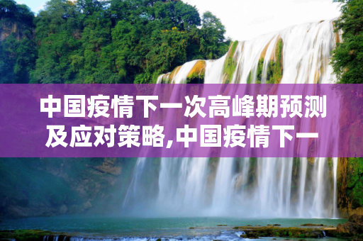 中国疫情下一次高峰期预测及应对策略,中国疫情下一次高峰期预测及应对策略