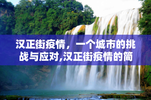 汉正街疫情，一个城市的挑战与应对,汉正街疫情的简单介绍