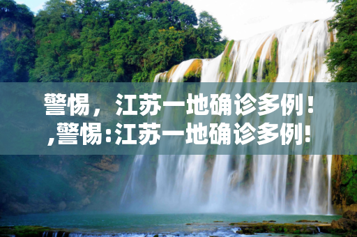 警惕，江苏一地确诊多例！,警惕:江苏一地确诊多例!