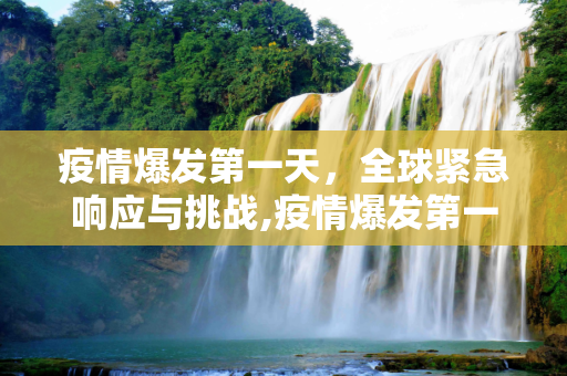 疫情爆发第一天，全球紧急响应与挑战,疫情爆发第一天