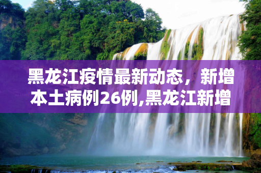 黑龙江疫情最新动态，新增本土病例26例,黑龙江新增本土26例