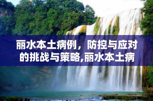 丽水本土病例，防控与应对的挑战与策略,丽水本土病例