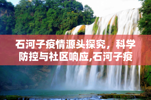 石河子疫情源头探究，科学防控与社区响应,石河子疫情源头