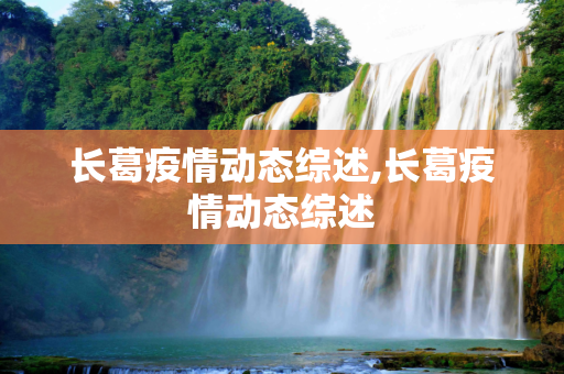 长葛疫情动态综述,长葛疫情动态综述