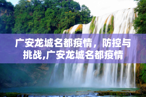 广安龙城名都疫情，防控与挑战,广安龙城名都疫情
