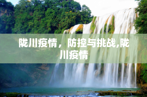 陇川疫情，防控与挑战,陇川疫情