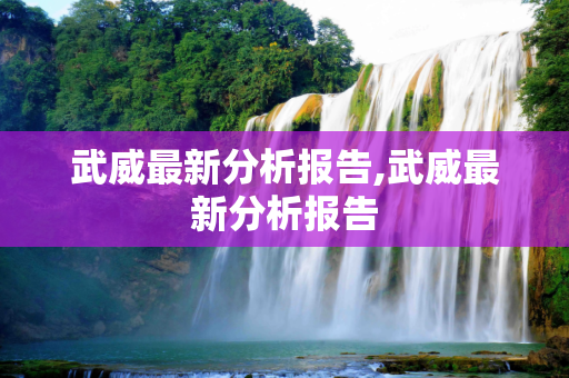 武威最新分析报告,武威最新分析报告