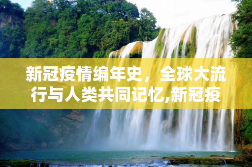 新冠疫情编年史，全球大流行与人类共同记忆,新冠疫情编年史