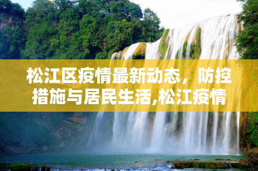 松江区疫情最新动态，防控措施与居民生活,松江疫情最新消息