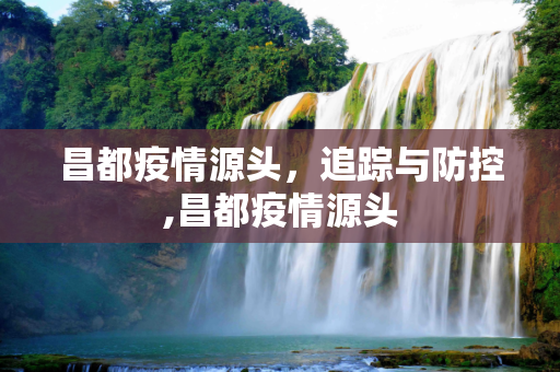 昌都疫情源头，追踪与防控,昌都疫情源头