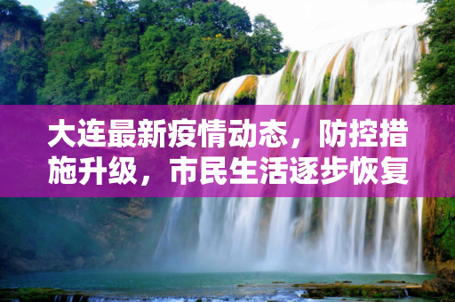 大连最新疫情动态，防控措施升级，市民生活逐步恢复,大连刚刚最新疫情消息