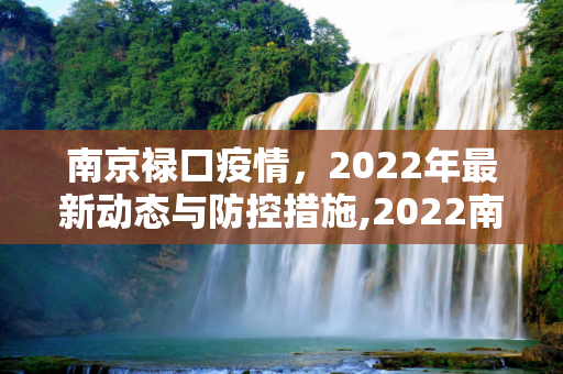 南京禄口疫情，2022年最新动态与防控措施,2022南京禄口疫情最新消息