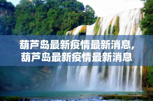 葫芦岛最新疫情最新消息,葫芦岛最新疫情最新消息