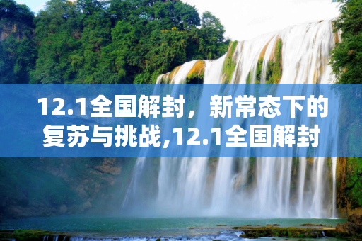 12.1全国解封，新常态下的复苏与挑战,12.1全国解封