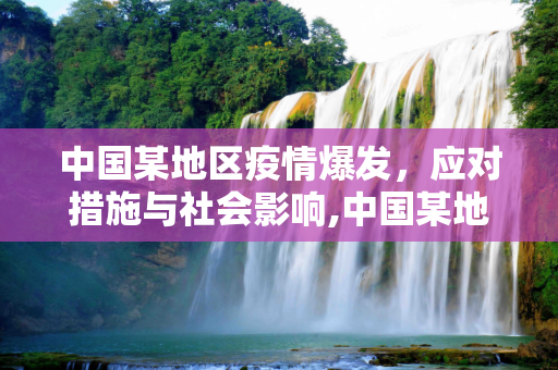 中国某地区疫情爆发，应对措施与社会影响,中国某地区疫情爆发