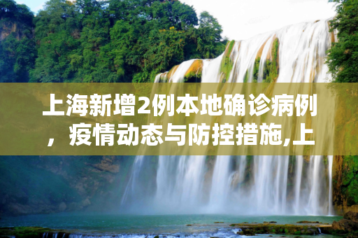 上海新增2例本地确诊病例，疫情动态与防控措施,上海新增2本地确诊